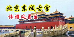 美女干骚视频网站中国北京-东城古宫旅游风景区