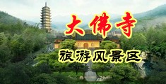 黄色操逼网址啊啊啊啊啊中国浙江-新昌大佛寺旅游风景区